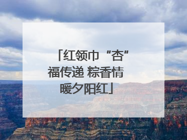 红领巾“杏”福传递 粽香情暖夕阳红
