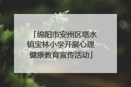绵阳市安州区塔水镇宝林小学开展心理健康教育宣传活动