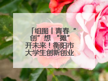 组图丨青春“创”想 “摊”开未来！衡阳市大学生创新创业集市火热开市