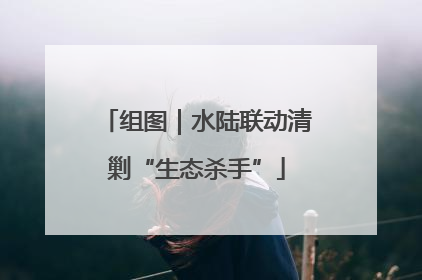 组图｜水陆联动清剿“生态杀手”