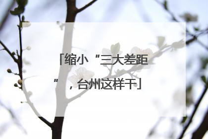 缩小“三大差距”，台州这样干