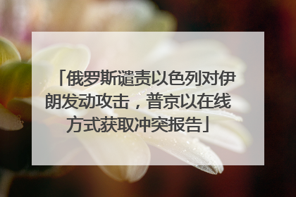 俄罗斯谴责以色列对伊朗发动攻击，普京以在线方式获取冲突报告