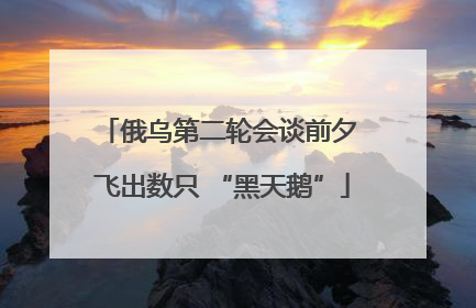 俄乌第二轮会谈前夕 飞出数只 “黑天鹅”