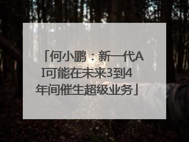 何小鹏：新一代AI可能在未来3到4年间催生超级业务