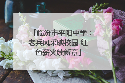 临汾市平阳中学：老兵风采映校园 红色薪火续新章