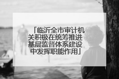 临沂全市审计机关积极在统筹推进基层监督体系建设中发挥职能作用