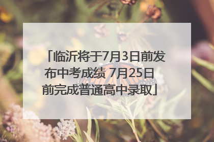 临沂将于7月3日前发布中考成绩 7月25日前完成普通高中录取