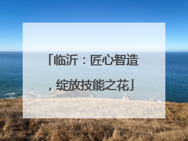 临沂：匠心智造，绽放技能之花