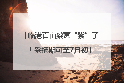 临港百亩桑葚“紫”了！采摘期可至7月初
