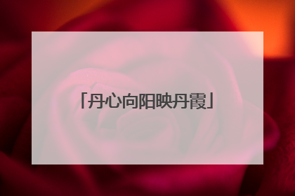 丹心向阳映丹霞