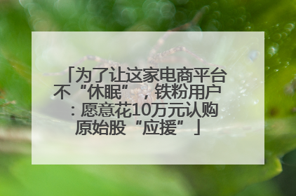 为了让这家电商平台不“休眠”，铁粉用户：愿意花10万元认购原始股“应援”
