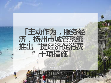 主动作为，服务经济，扬州市城管系统推出“提经济促消费”十项措施