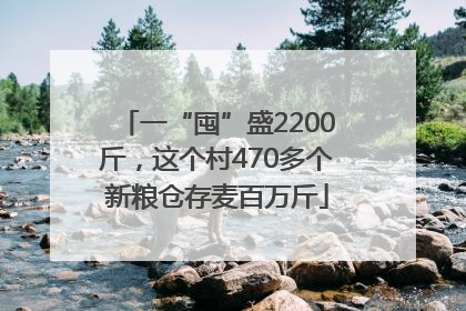 一“囤”盛2200斤，这个村470多个新粮仓存麦百万斤
