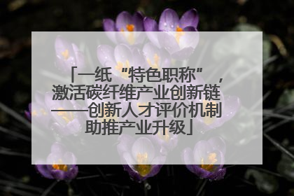 一纸“特色职称”，激活碳纤维产业创新链——创新人才评价机制 助推产业升级