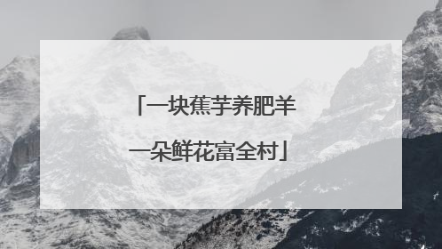 一块蕉芋养肥羊 一朵鲜花富全村