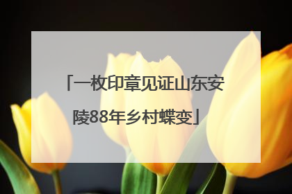 一枚印章见证山东安陵88年乡村蝶变