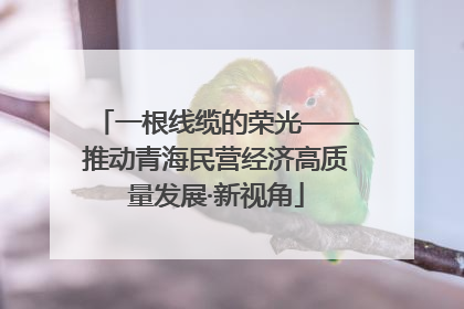 一根线缆的荣光——推动青海民营经济高质量发展·新视角