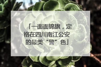 一面面锦旗，定格在四川南江公安的最美“警”色