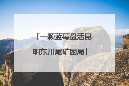 一颗蓝莓盘活昆明东川尾矿困局