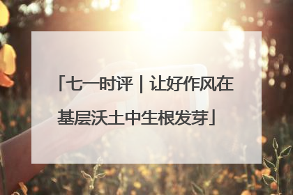 七一时评｜让好作风在基层沃土中生根发芽