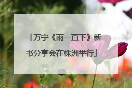 万宁《雨一直下》新书分享会在株洲举行