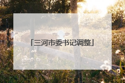 三河市委书记调整