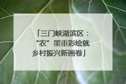 三门峡湖滨区：“农”墨重彩绘就乡村振兴新画卷