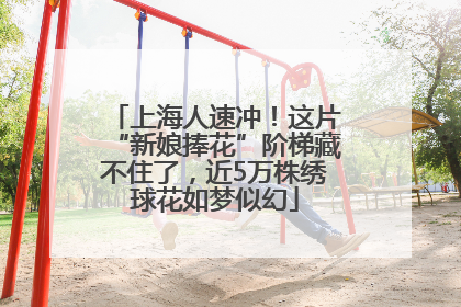 上海人速冲！这片“新娘捧花”阶梯藏不住了，近5万株绣球花如梦似幻