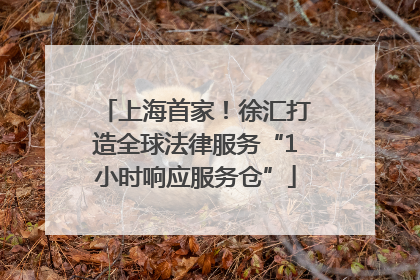 上海首家！徐汇打造全球法律服务“1小时响应服务仓”