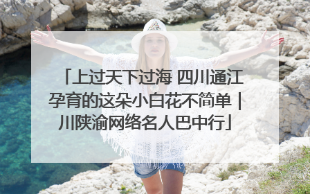 上过天下过海 四川通江孕育的这朵小白花不简单｜川陕渝网络名人巴中行