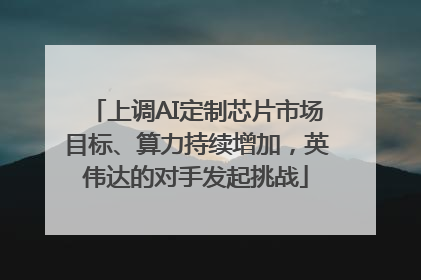 上调AI定制芯片市场目标、算力持续增加，英伟达的对手发起挑战