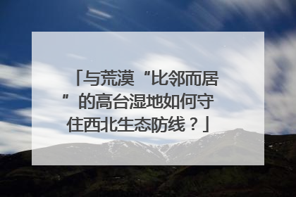 与荒漠“比邻而居”的高台湿地如何守住西北生态防线？
