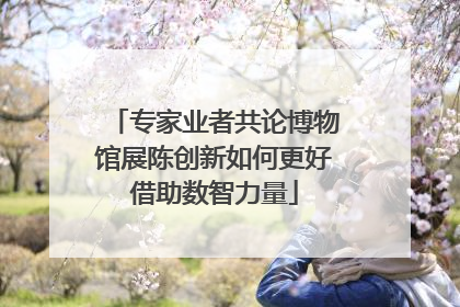 专家业者共论博物馆展陈创新如何更好借助数智力量