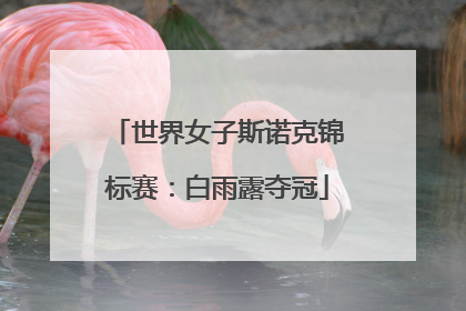 世界女子斯诺克锦标赛：白雨露夺冠