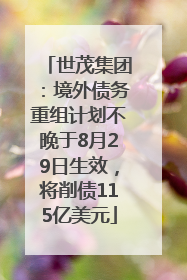 世茂集团：境外债务重组计划不晚于8月29日生效，将削债115亿美元