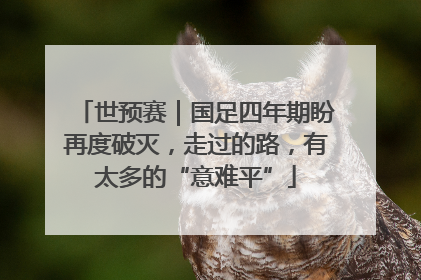 世预赛｜国足四年期盼再度破灭，走过的路，有太多的“意难平”