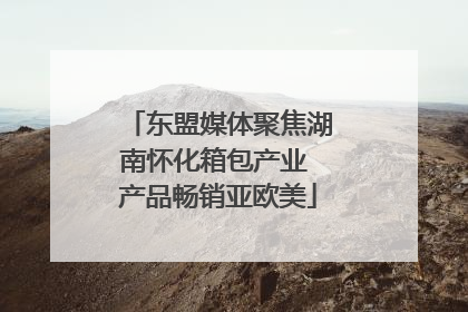 东盟媒体聚焦湖南怀化箱包产业 产品畅销亚欧美