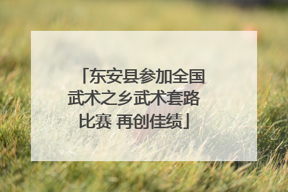 东安县参加全国武术之乡武术套路比赛 再创佳绩