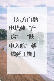 东方白鹳电塔建“产房” “陕电入皖”架线延工期