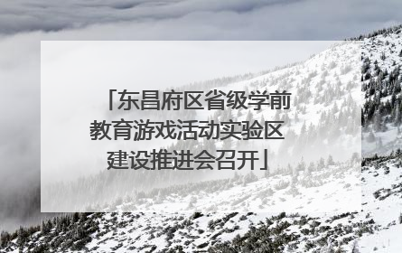 东昌府区省级学前教育游戏活动实验区建设推进会召开