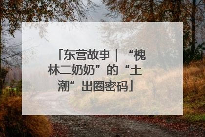 东营故事｜“槐林二奶奶”的“土潮”出圈密码