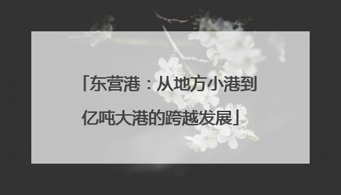 东营港：从地方小港到亿吨大港的跨越发展