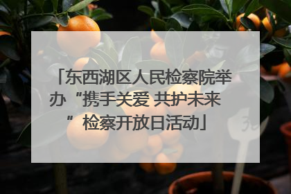 东西湖区人民检察院举办“携手关爱 共护未来”检察开放日活动