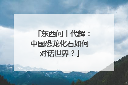东西问丨代辉：中国恐龙化石如何对话世界？