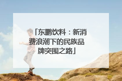 东鹏饮料：新消费浪潮下的民族品牌突围之路