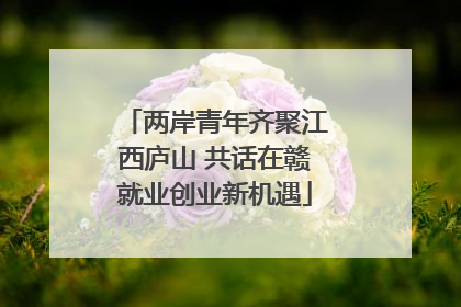 两岸青年齐聚江西庐山 共话在赣就业创业新机遇