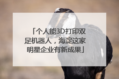 个人能3D打印双足机器人，海淀这家明星企业有新成果