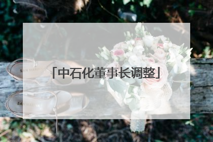 中石化董事长调整