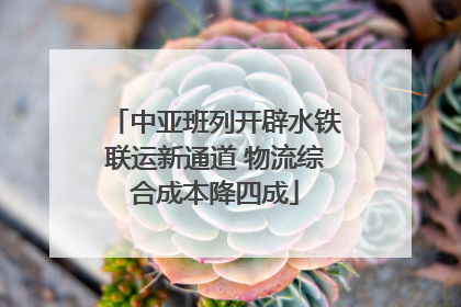 中亚班列开辟水铁联运新通道 物流综合成本降四成