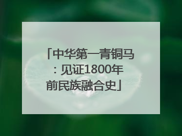 中华第一青铜马：见证1800年前民族融合史
